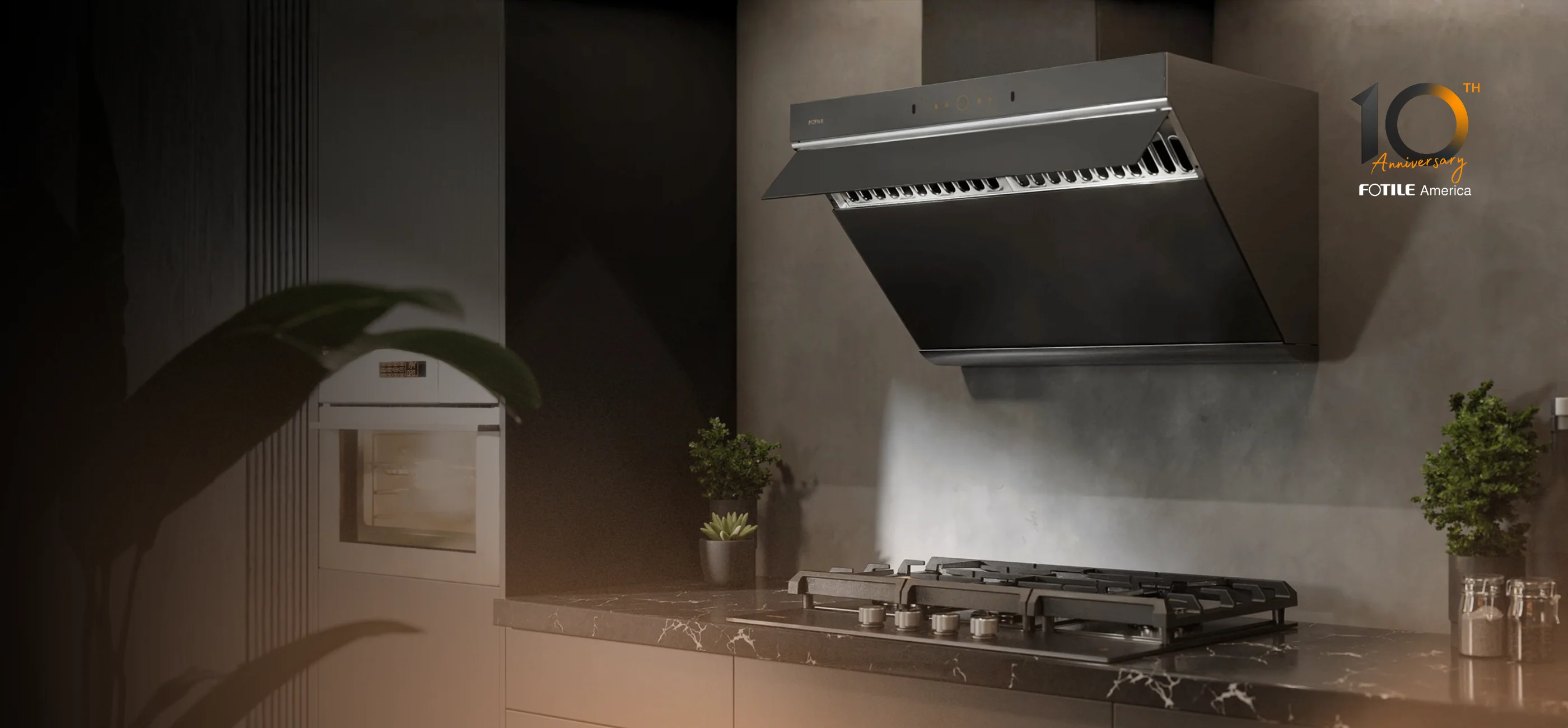 Master Your Kitchen with FOTILE